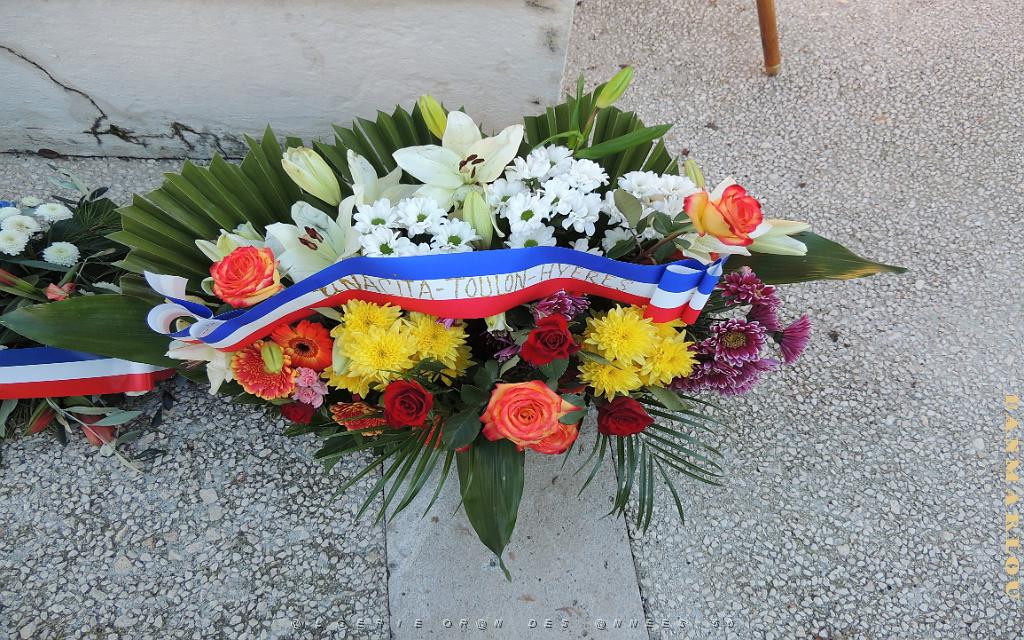 2025 12 05 TOULON HOMMAGE AUX MORTS POUR LA FRANCE EN AFN (25).jpg